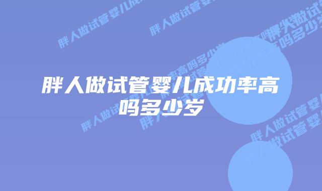 胖人做试管婴儿成功率高吗多少岁插图 胖人做试管婴儿成功率高吗多少岁插图