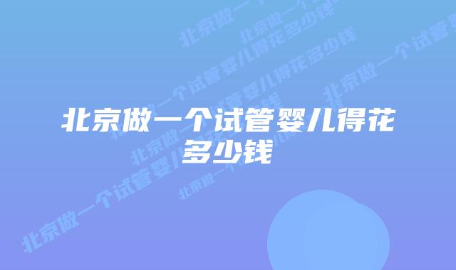 北京做一个试管婴儿得花多少钱插图 北京做一个试管婴儿得花多少钱插图
