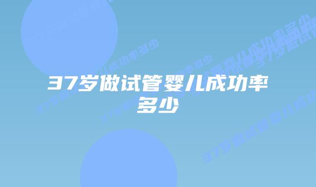 37岁做试管婴儿成功率多少插图