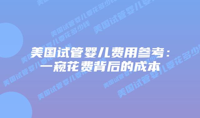 美国试管婴儿费用参考：一窥花费背后的成本插图