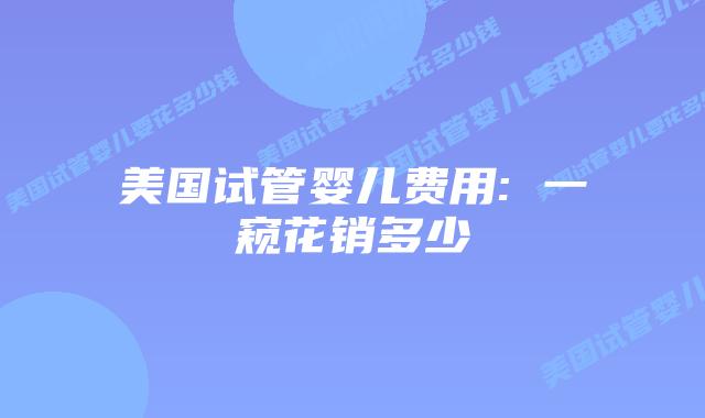 美国试管婴儿费用: 一窥花销多少插图 美国试管婴儿费用: 一窥花销多少插图