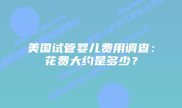 美国试管婴儿费用调查：花费大约是多少？插图