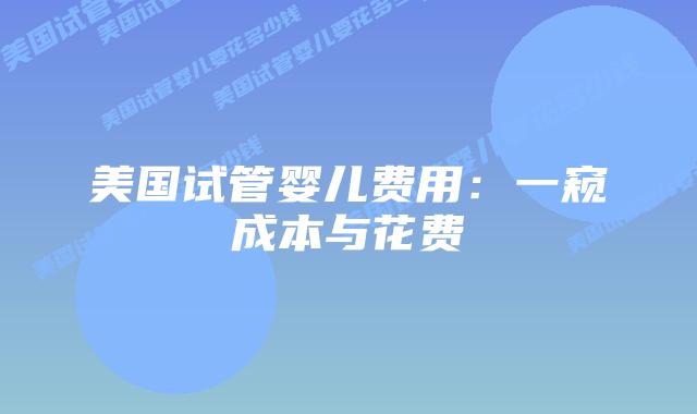 美国试管婴儿费用：一窥成本与花费插图