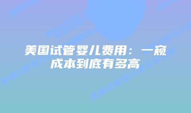 美国试管婴儿费用：一窥成本到底有多高插图