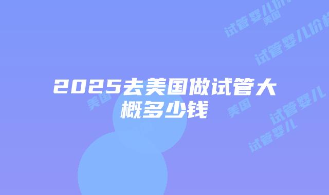 2025去美国做试管大概多少钱插图