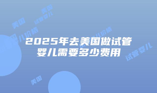 2025年去美国做试管婴儿需要多少费用插图