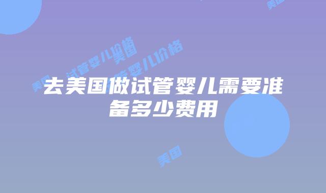 去美国做试管婴儿需要准备多少费用插图