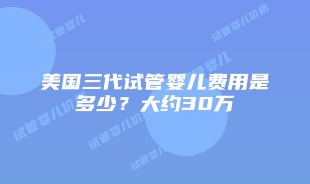 美国三代试管婴儿费用是多少？大约30万插图