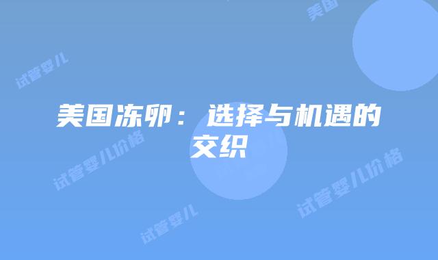 美国冻卵：选择与机遇的交织插图