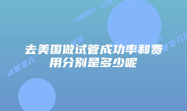 去美国做试管成功率和费用分别是多少呢插图 去美国做试管成功率和费用分别是多少呢插图