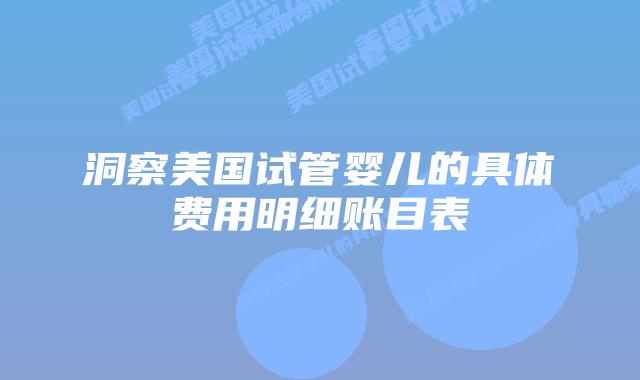 洞察美国试管婴儿的具体费用明细账目表插图
