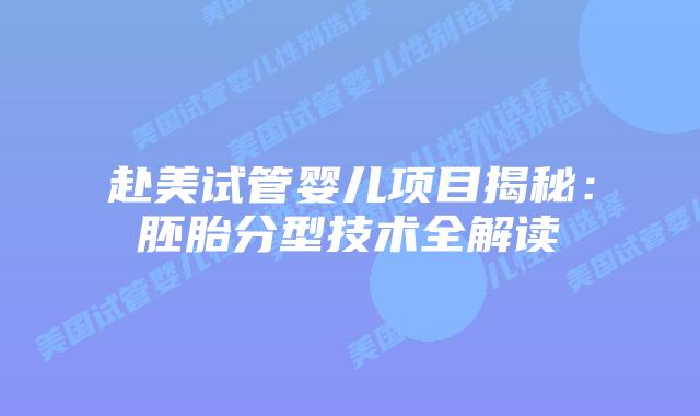 赴美试管婴儿项目揭秘:胚胎分型技术全解读插图 赴美试管婴儿项目揭秘:胚胎分型技术全解读插图