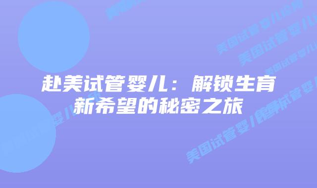赴美试管婴儿：解锁生育新希望的秘密之旅插图
