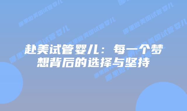 赴美试管婴儿：每一个梦想背后的选择与坚持插图