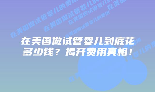 在美国做试管婴儿到底花多少钱？揭开费用真相！插图