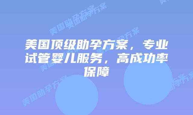 美国顶级助孕方案，专业试管婴儿服务，高成功率保障插图