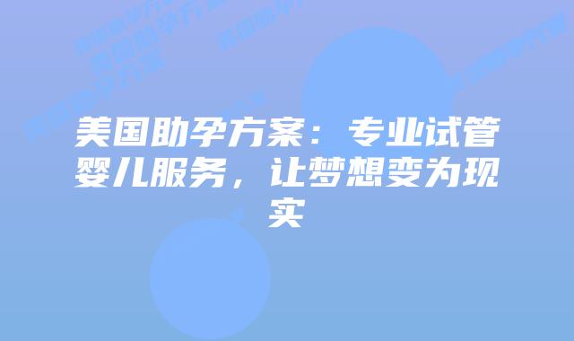 美国助孕方案：专业试管婴儿服务，让梦想变为现实插图