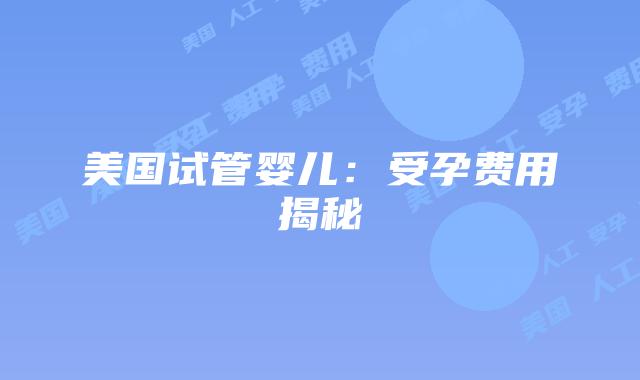 美国试管婴儿：受孕费用揭秘插图