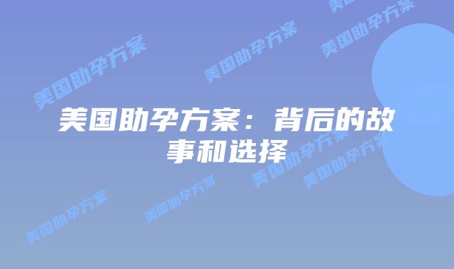 美国助孕方案：背后的故事和选择插图