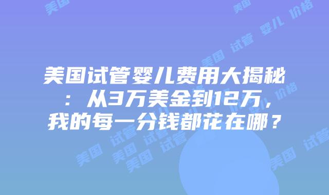 美国试管婴儿费用大揭秘：从3万美金到12万，我的每一分钱都花在哪？插图