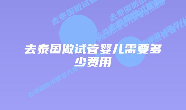 去泰国做试管婴儿需要多少费用插图