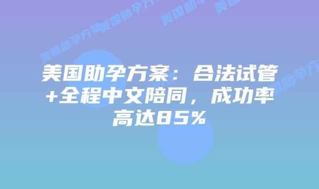美国助孕方案：合法试管+全程中文陪同，成功率高达85%插图