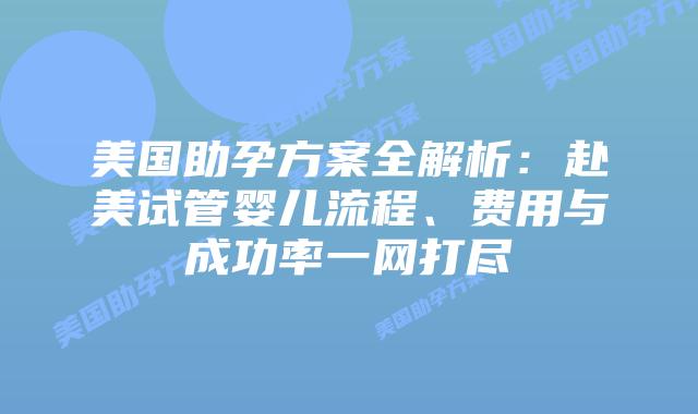 美国助孕方案全解析：赴美试管婴儿流程、费用与成功率一网打尽插图