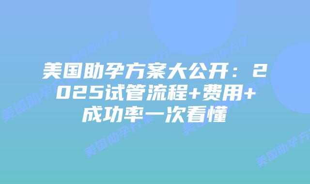美国助孕方案大公开：2025试管流程+费用+成功率一次看懂插图